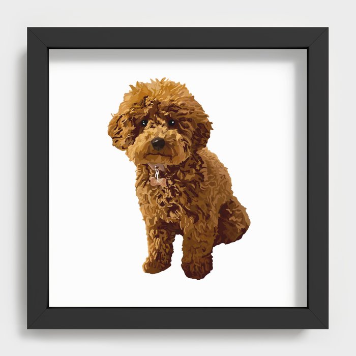 Ginger sales toy poodle