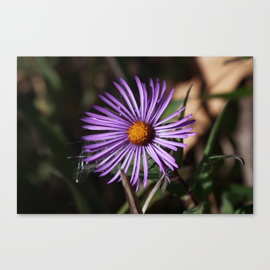 Purple Flower Canvas Print