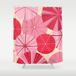 society6