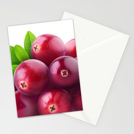 Cranberries Stationery Card