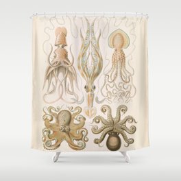 Vintage Octopus Illustration Print, Scientific Illustrations, Octopus Print, Octopus Wall Art Shower Curtain