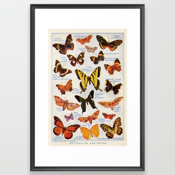Vintage Butteryfly and Moth Illustration, 1920s Dictionary Page Framed Art Print