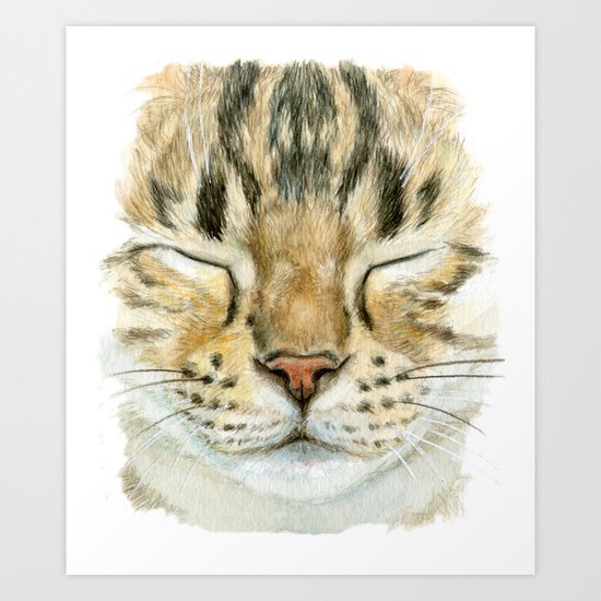 Sleeping Tabby Cat 830 Art Print
