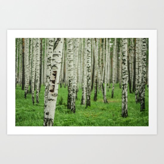 Forrest of white trees Art Print