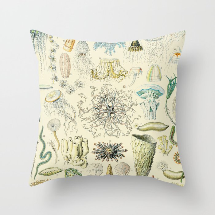 Throw Pillow