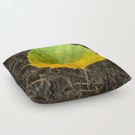 Autumn Glow Floor Pillow
