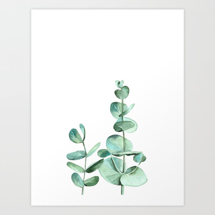 Discover the motif EUCALYPTUS LEAVES by Art by ASolo as a print at TOPPOSTER