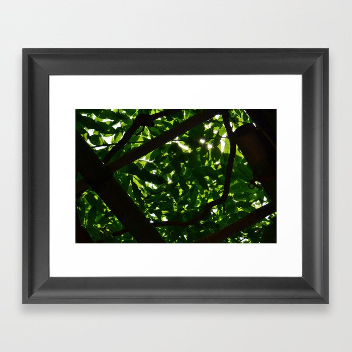 Green Oasis Framed Art Print
