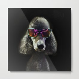 Too Cool Poodle Metal Print | Standardpoodle, Gray, Stylist, Pets, Poodle, Hip, Shades, Cool, Summer, Photo 
