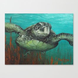 Sea Turtle 2 Canvas Print