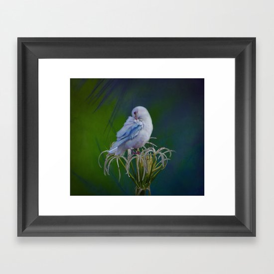 Preen Framed Art Print