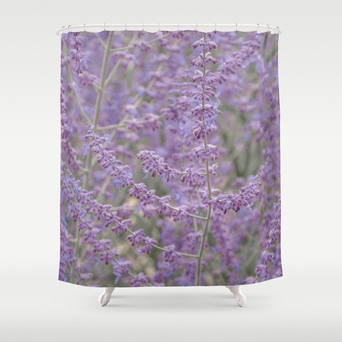 Lavender Field in Brussels Belgium Shower Curtain
