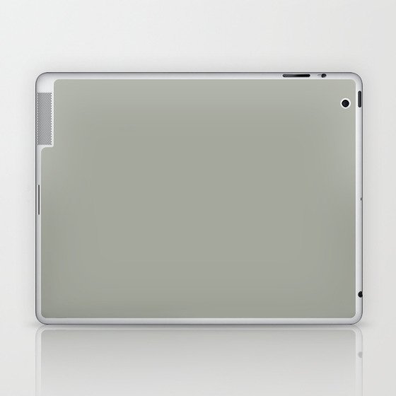 Gray Garden Promenade Laptop & iPad Skin