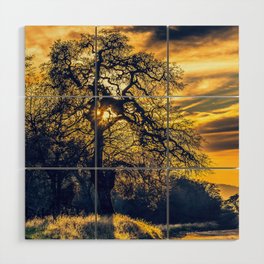 Evensong - A Golden Sierra Sunset Shines Through an Oak Tree Wood Wall Art