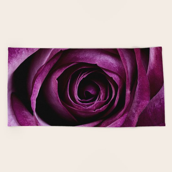 Purple Rose Beach Towel
