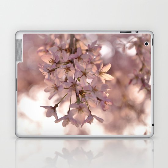 Cherry Blossom Spring Laptop & iPad Skin