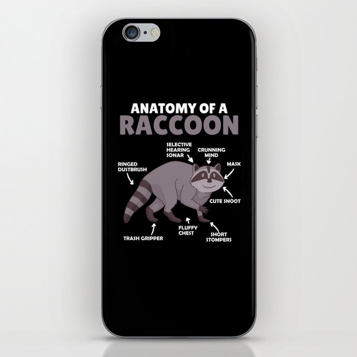 Sweet Raccoon Explanation Anatomy Of A Raccoon iPhone Skin