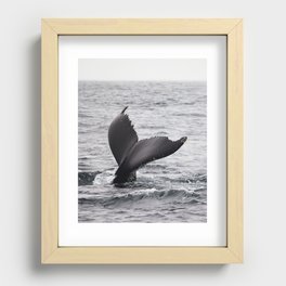 Diving Deep Recessed Framed Print