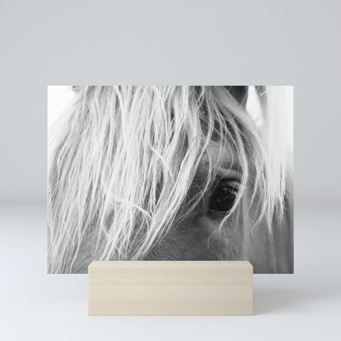 Horse Face Mini Art Print