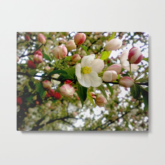 Spring Forward Metal Print