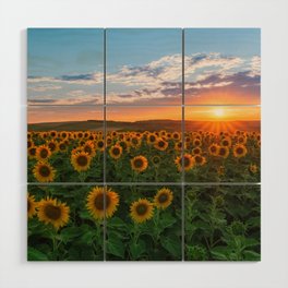 Sunset over sunflowers	 Wood Wall Art