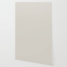 Grayish Off White Solid Color PPG Silent Smoke PPG1025-2 - All Color - Single Shade - Simple Hue Wallpaper