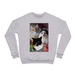 Space Fluffs Crewneck Sweatshirt