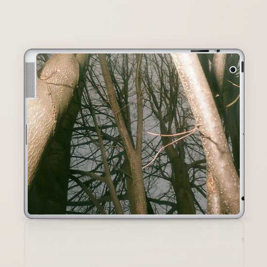 Trees Laptop & iPad Skin