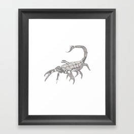 scorpion Framed Art Print