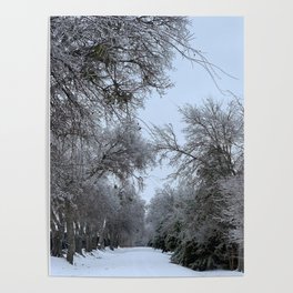 Winter Trail Poster