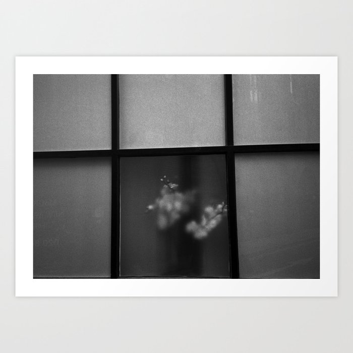 Flowers in the Window, London | 35mm Black and White Film Photography Art Print