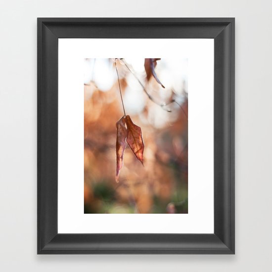 Late Autumn Light II Framed Art Print