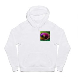 FRACTAL COLORFUL SPIRAL Hoody