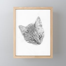 Cat portrait Framed Mini Art Print