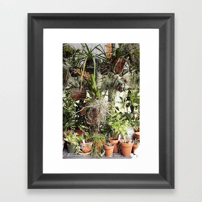 Greenhouse 005 Framed Art Print