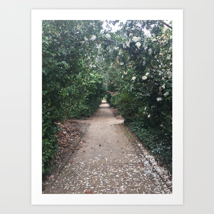 Enchanted Walkway Art Print