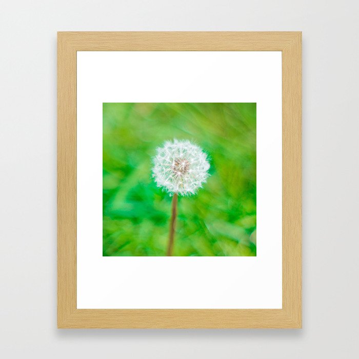 Dandelion Framed Art Print