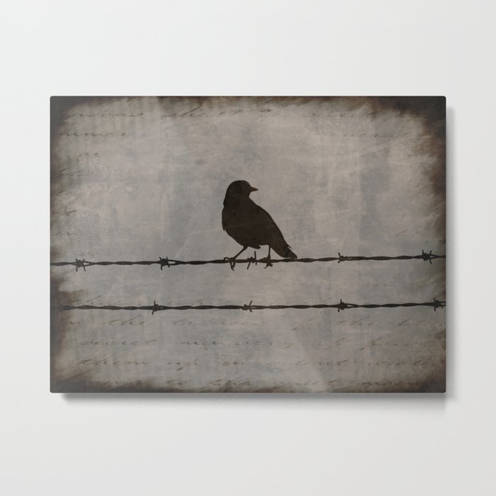 Rustic Black Bird Barbed Wire Modern Country Home Decor Art Matted Picture A476 Metal Print