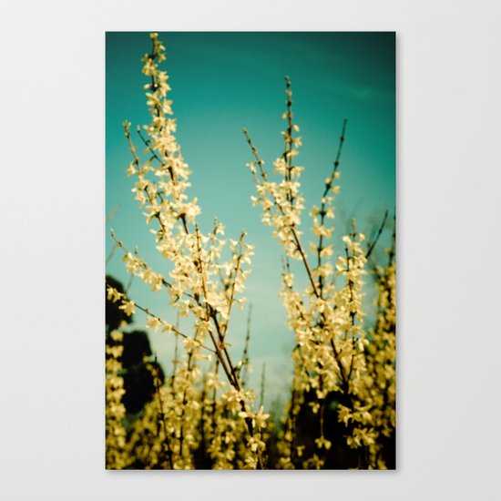 Rapturous Canvas Print