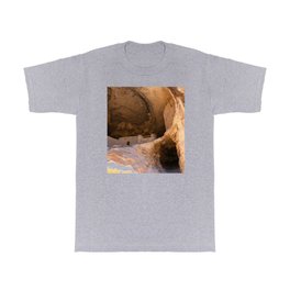 Ancient Pueblo - Gila Cliff Dwellings T Shirt