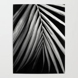 Palm Leaf Delight #3 #tropical #decor #art #society6 Poster