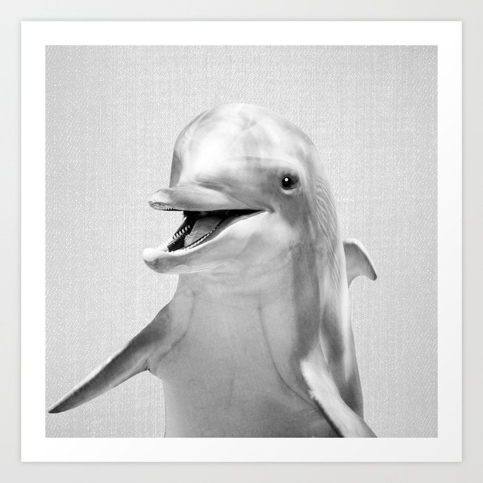 Dolphin - Black & White Art Print