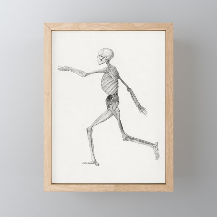 Human Skeleton, Lateral View Framed Mini Art Print