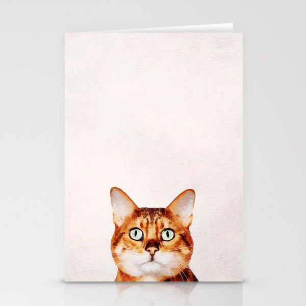 Cute Cat Stare Stationery Cards