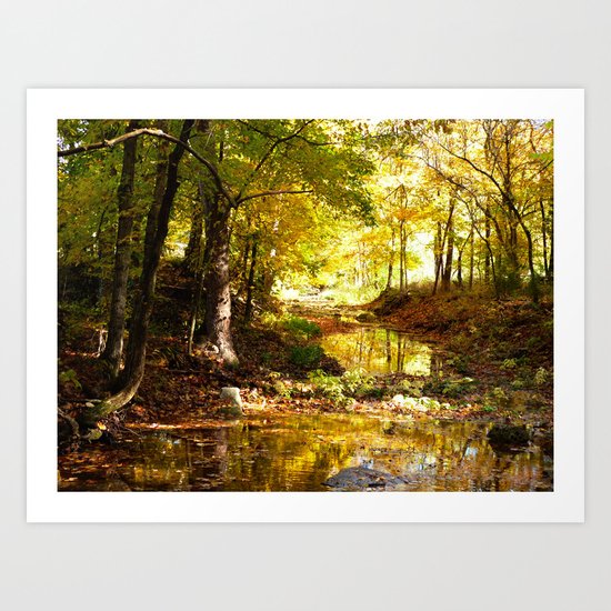 Fall afternoon Art Print