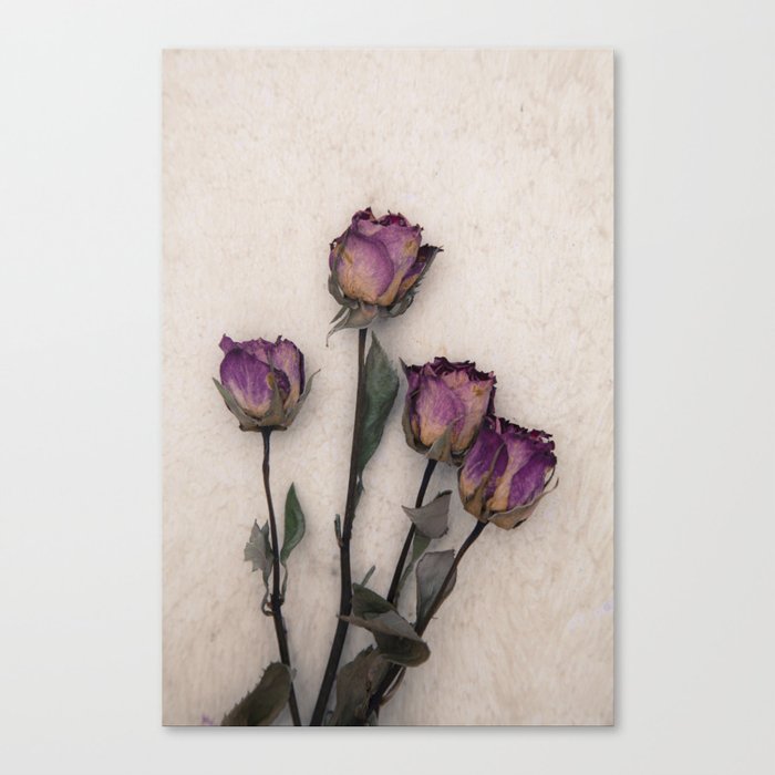 Four Dried Roses Canvas Print By Mariaheyens Society6