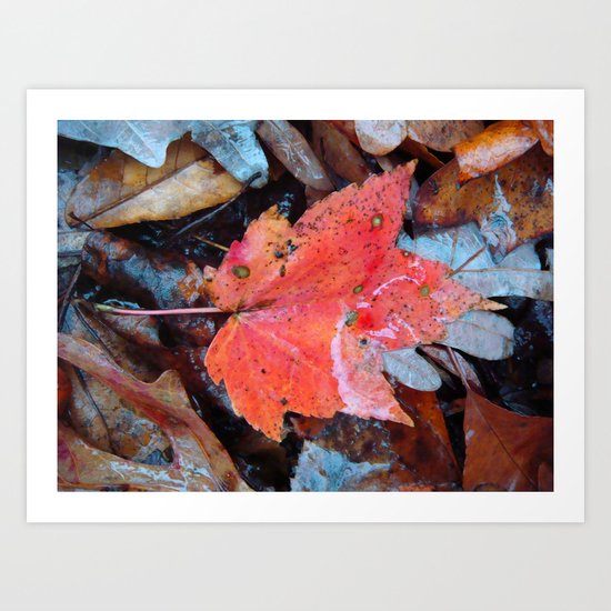 autumnal reverie 646 Art Print
