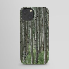 Birch Forest iPhone Case