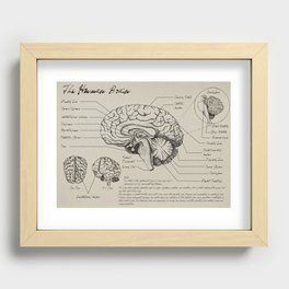 Medical Diagrams - The Brain Recessed Framed Print