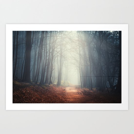 the quiet path Art Print